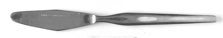 SRB166 (STAINLESS) Modern Solid Knife