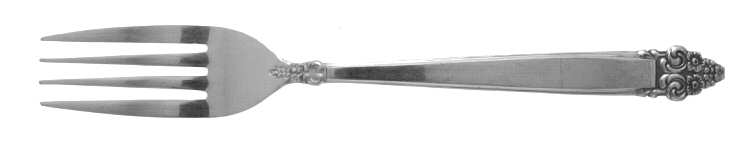 SRB51 (STAINLESS) Fork