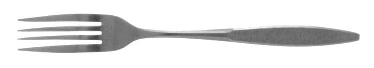 Leslie (STAINLESS) Fork