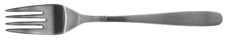 SRB82 (STAINLESS) Fork