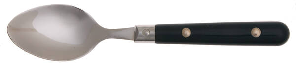 Tango 1-Hunter Green (Stainless, Plastic) Teaspoon