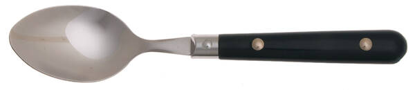 Tango 1-Hunter Green (Stainless, Plastic) Place/Oval Soup Spoon