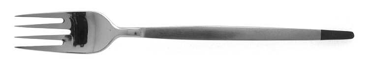 Tempo (Stainless) Fork