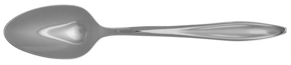 Valor (Stainless) Teaspoon