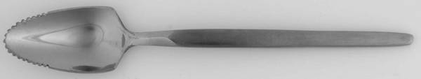 Windrim (Stainless) Fruit/Orange Spoon
