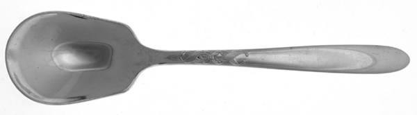 Cadillac (Stainless) Sugar Spoon
