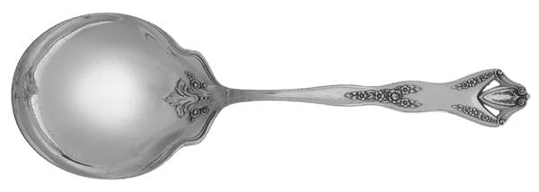 Endicott (Silverplate) Solid Smooth Casserole Spoon