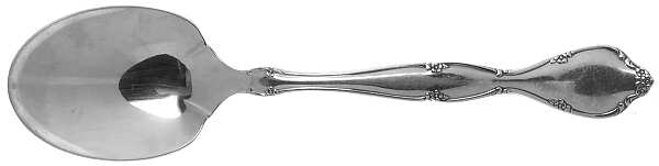 Lakewood (Stainless) Sugar Spoon