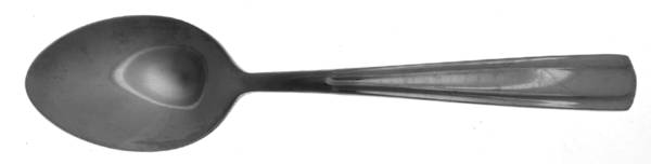 Lake Shore (Stainless) Teaspoon