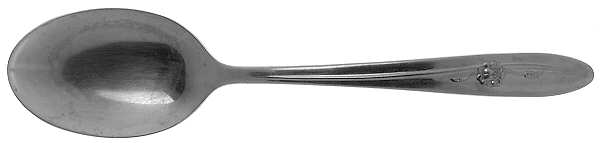 Provincial Rose (Stainless) Tablespoon (Serving Spoon)