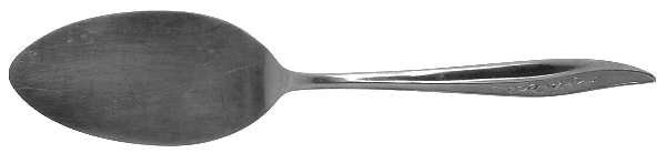 Rose Texture (Stainless) All Stainless Pie Server