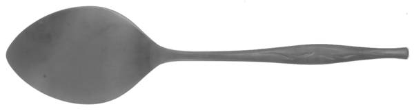 SRS13 (Stainless) All Stainless Pie Server