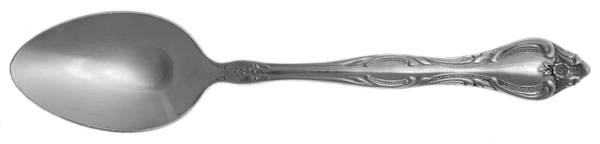 SRS15 (Stainless) Teaspoon