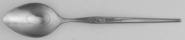 SRS18 (Stainless) Teaspoon