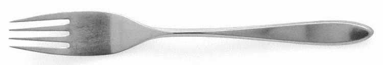 Stylus (Stainless) Fork