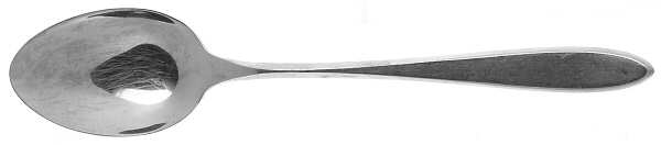Stylus (Stainless) Teaspoon