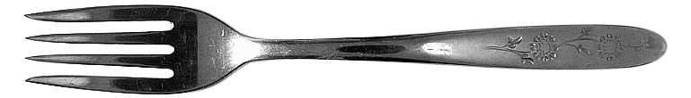Wood Dale (Stainless) Fork