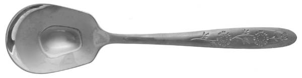 Wood Dale (Stainless) Sugar Spoon