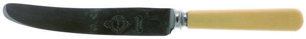 Produx (Stainless) Dessert Knife with Stainless Blade