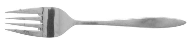 SYF12 (STAINLESS) Fork
