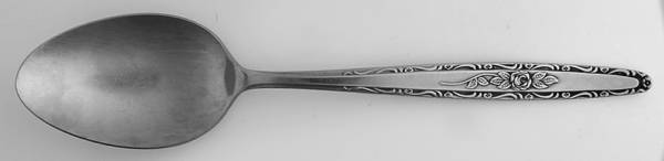 SYF2 (STAINLESS) Tablespoon (Serving Spoon)