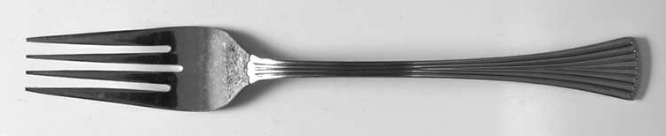 SRB193 Fork