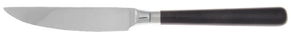 Spectrum-Navy Blue Steak Knife Individual Hollow, No Serrate HC