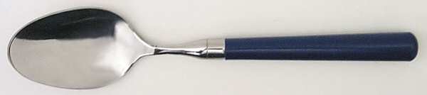 Spectrum-Navy Blue Place/Oval Soup Spoon