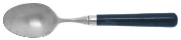 Spectrum-Navy Blue Teaspoon