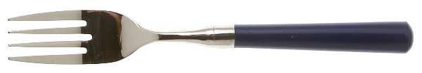 Spectrum-Navy Blue Individual Salad Fork