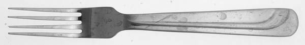 SRB200 Individual Salad Fork
