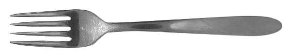 SWS2 (STAINLESS) Fork