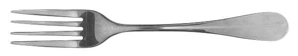 SRB208 (Stainless) Fork
