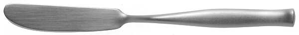 Moderne (Stainless) Master Butter Spreader, Solid Piece