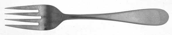 SRB214 (STAINLESS) Individual Salad Fork