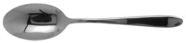 Mascagni (Stainless) Solid Serving Spoon