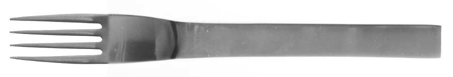 Colorado (Stainless) Fork