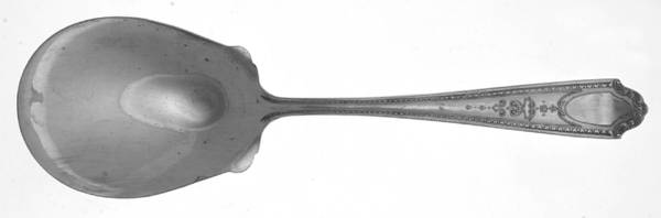 SD1 (Silverplate) Solid Smooth Casserole Spoon