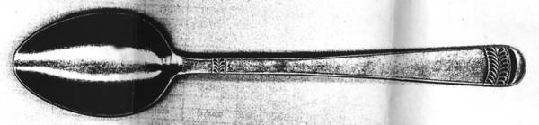SRB229 (STAINLESS) Place/Oval Soup Spoon