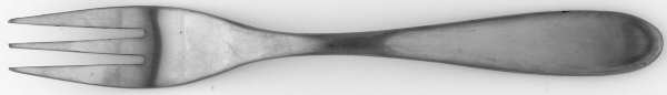 SRB234 (STAINLESS) Fork