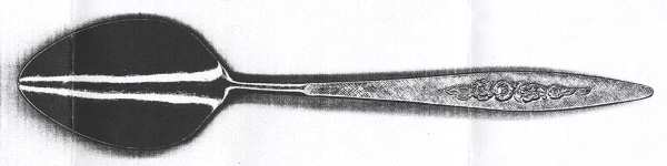 Lounette (Stainless) Teaspoon