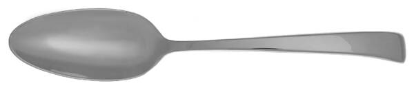 Imagine (Stainless) Solid Serving Spoon