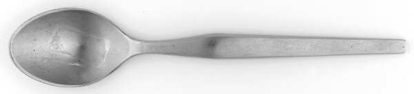 SRB254 (Stainless) Teaspoon