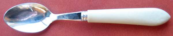 SAE10 (Stainless) Teaspoon