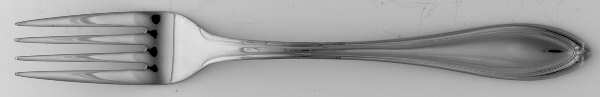 SMD1 (Stainless) Fork