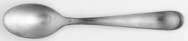 SPL19 (Stainless) Teaspoon
