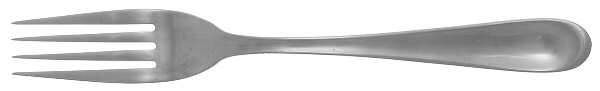 SPL19 (Stainless) Fork