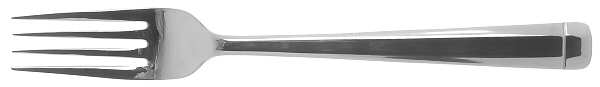 SNR1 (Stainless) Fork