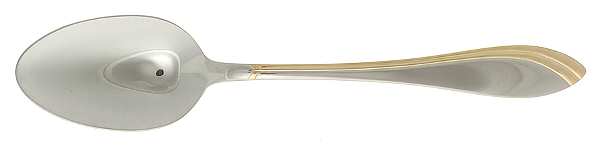 Spl24 (Stainless, Gold Accent) Tablespoon (Serving Spoon)