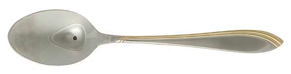 Spl24 (Stainless, Gold Accent) Teaspoon
